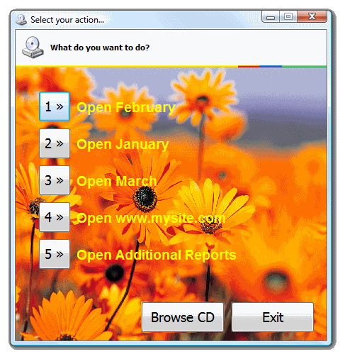 Autorun menu with a background and customized fonts