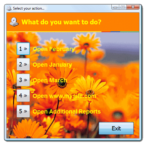 Autorun menu with a background, customized fonts and customized header